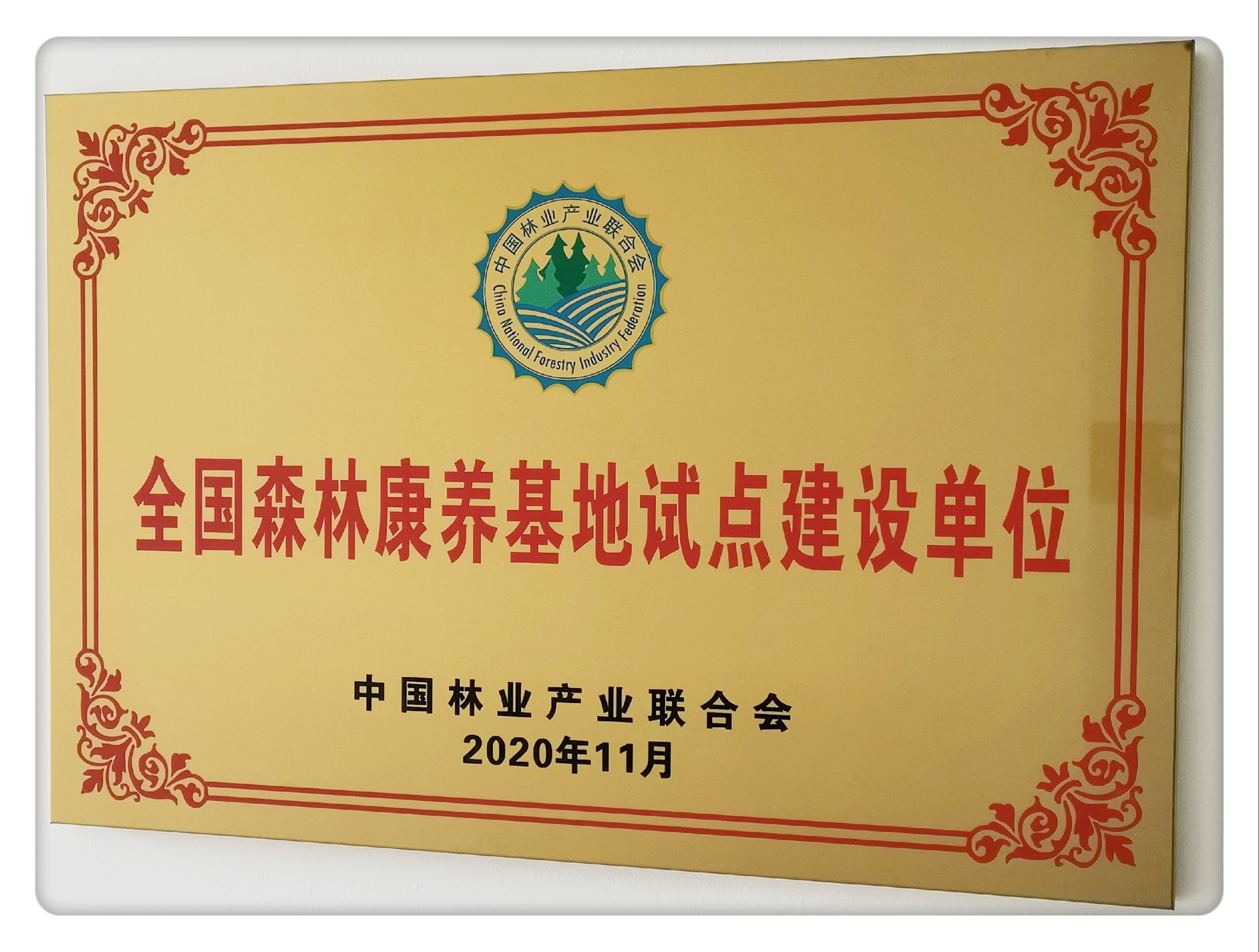 微信圖片_20201123165044.jpg 微信圖片_20201123165044.jpg